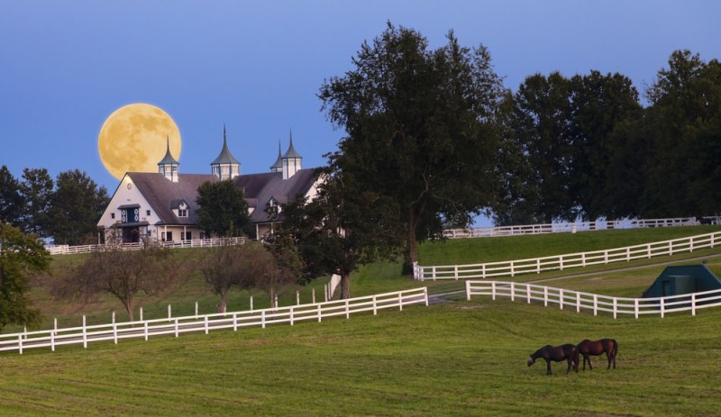 Horseback Riding Ranch Horse Stables Barns And Facilities