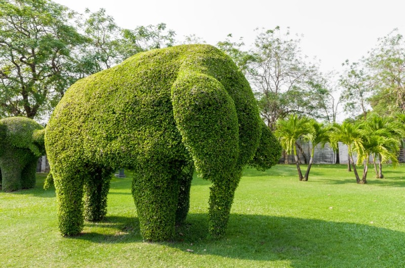 Garden Topiary Forms And Topiary Art