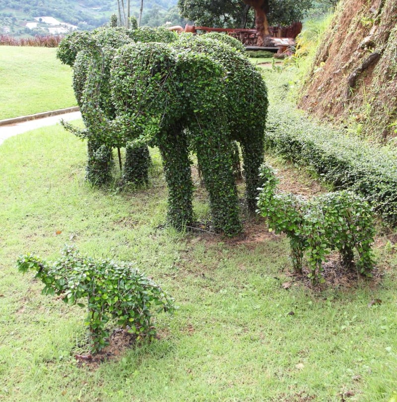 Garden Topiary Forms and Topiary Art