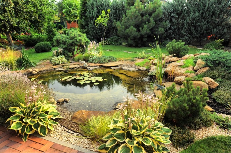 Backyard Pond Designs