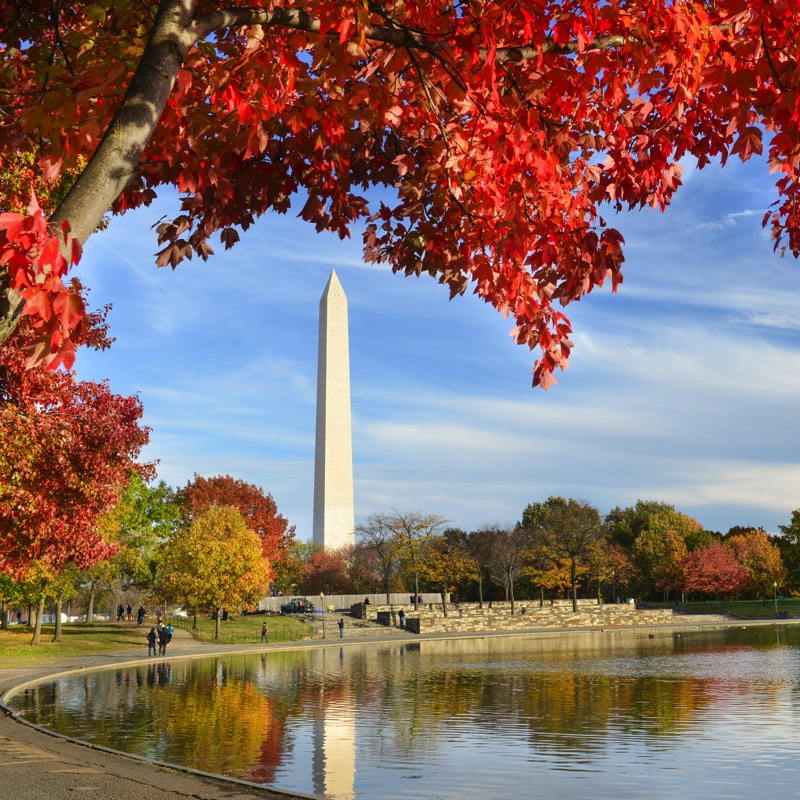 List 105+ Pictures Where To See Fall Foliage In Washington State Superb